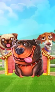 The Dog House